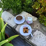 Sunflower Himare