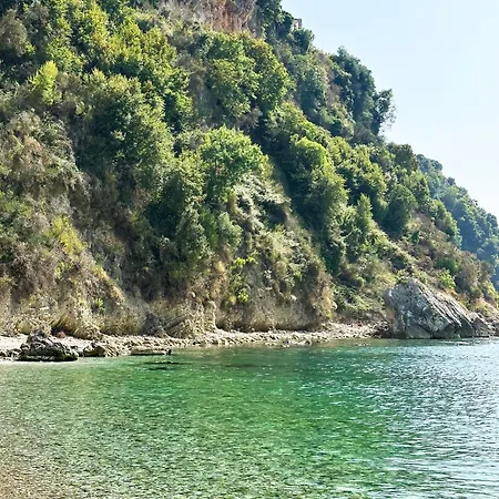 Πανσιόν Sunflower 3*