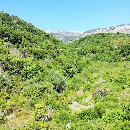 Πανσιόν Sunflower