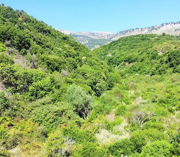 Maison d'hôtes Sunflower