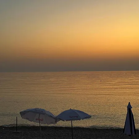 Guest house Sunflower 3*