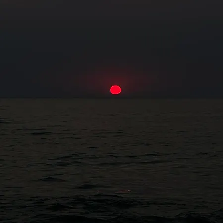 Sunflower בית הארחה הימארה