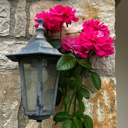 בית הארחה Sunflower