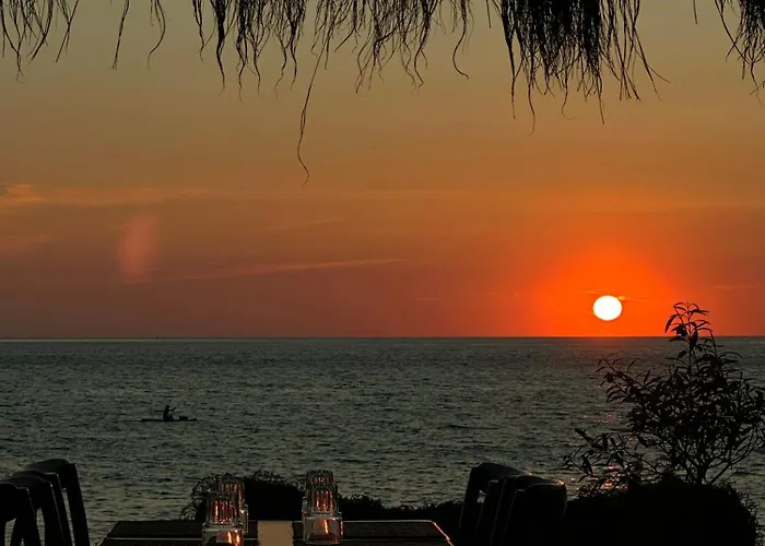 Sunflower הימארה