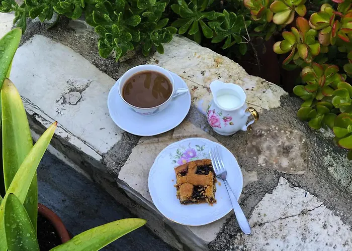 Sunflower הימארה