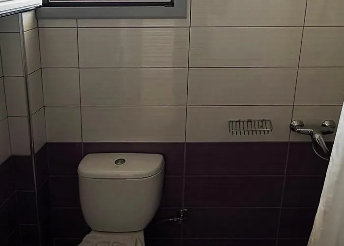 Sunflower בית הארחה