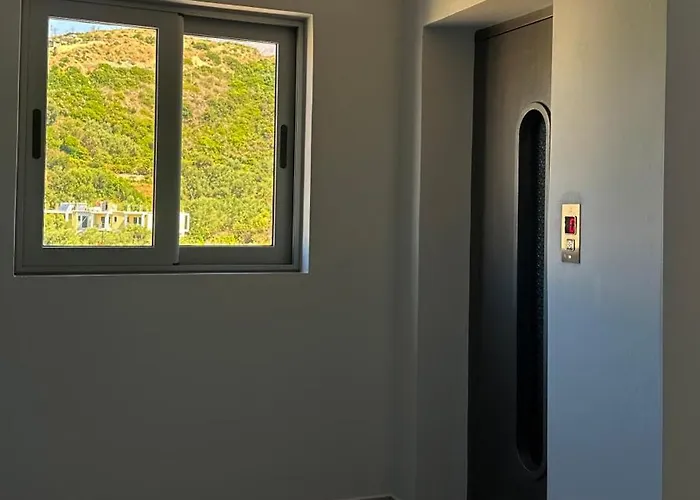 Sunflower 3* הימארה