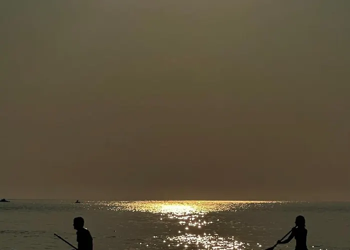 בית הארחה Sunflower 3*