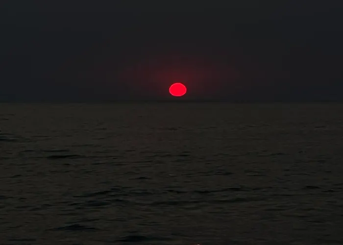 Sunflower בית הארחה הימארה