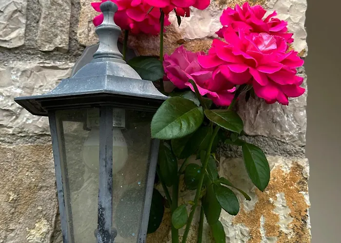 בית הארחה Sunflower