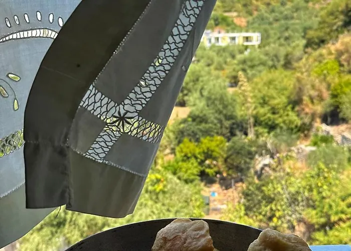 Sunflower בית הארחה 3*